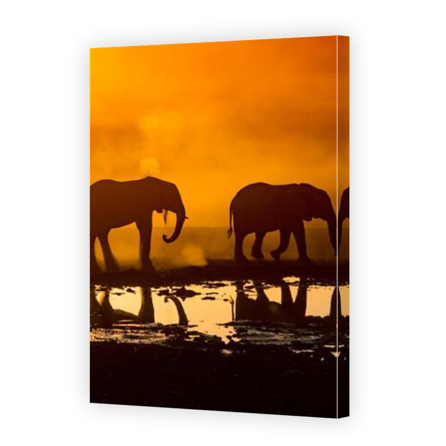 Thumbnail for Canvas - Mirror Image Canvas Wrap