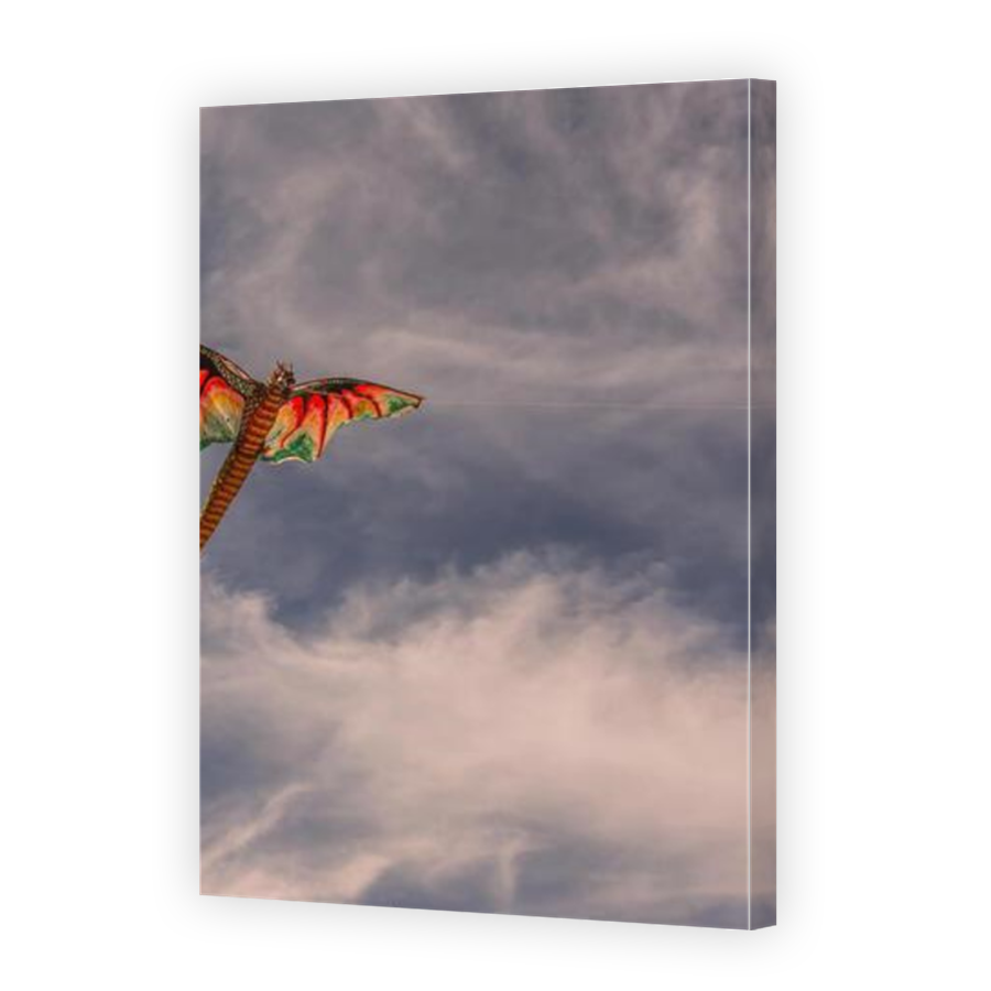 Thumbnail for Canvas - Mirror Image Canvas Wrap