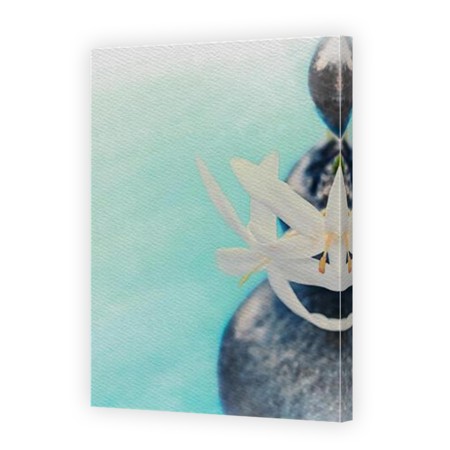 Thumbnail for Canvas - Mirror Image Canvas Wrap