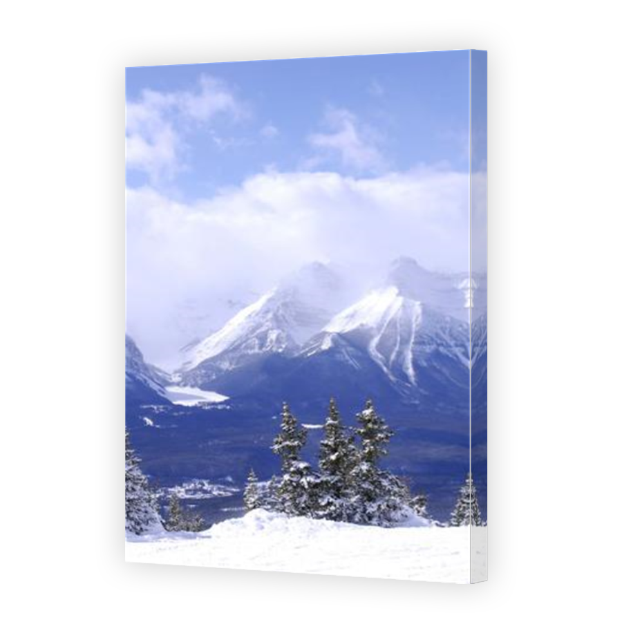 Thumbnail for Canvas - Mirror Image Canvas Wrap