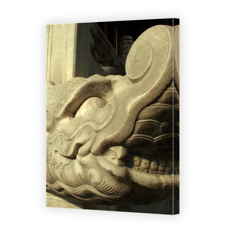 Thumbnail for Canvas - Mirror Image Canvas Wrap