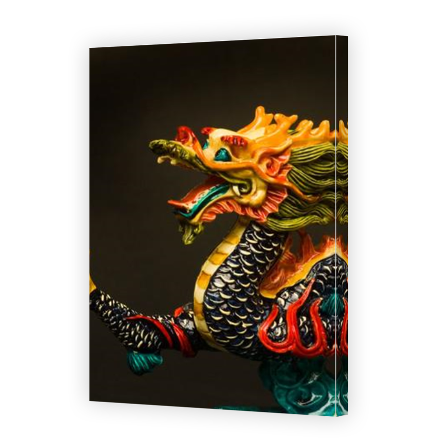 Thumbnail for Canvas - Mirror Image Canvas Wrap