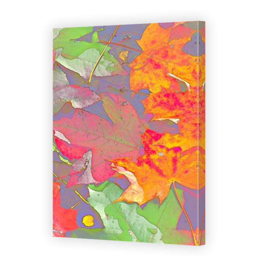 Thumbnail for Canvas - Mirror Image Canvas Wrap