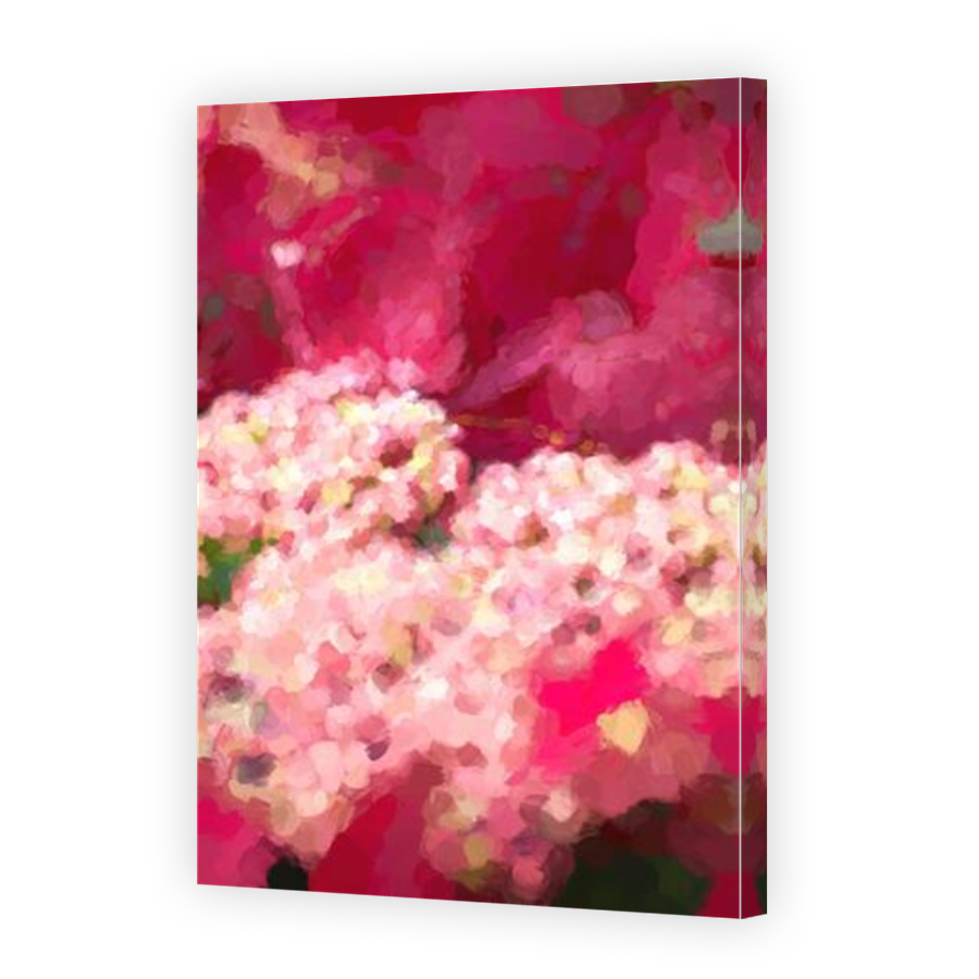 Thumbnail for Canvas - Mirror Image Canvas Wrap