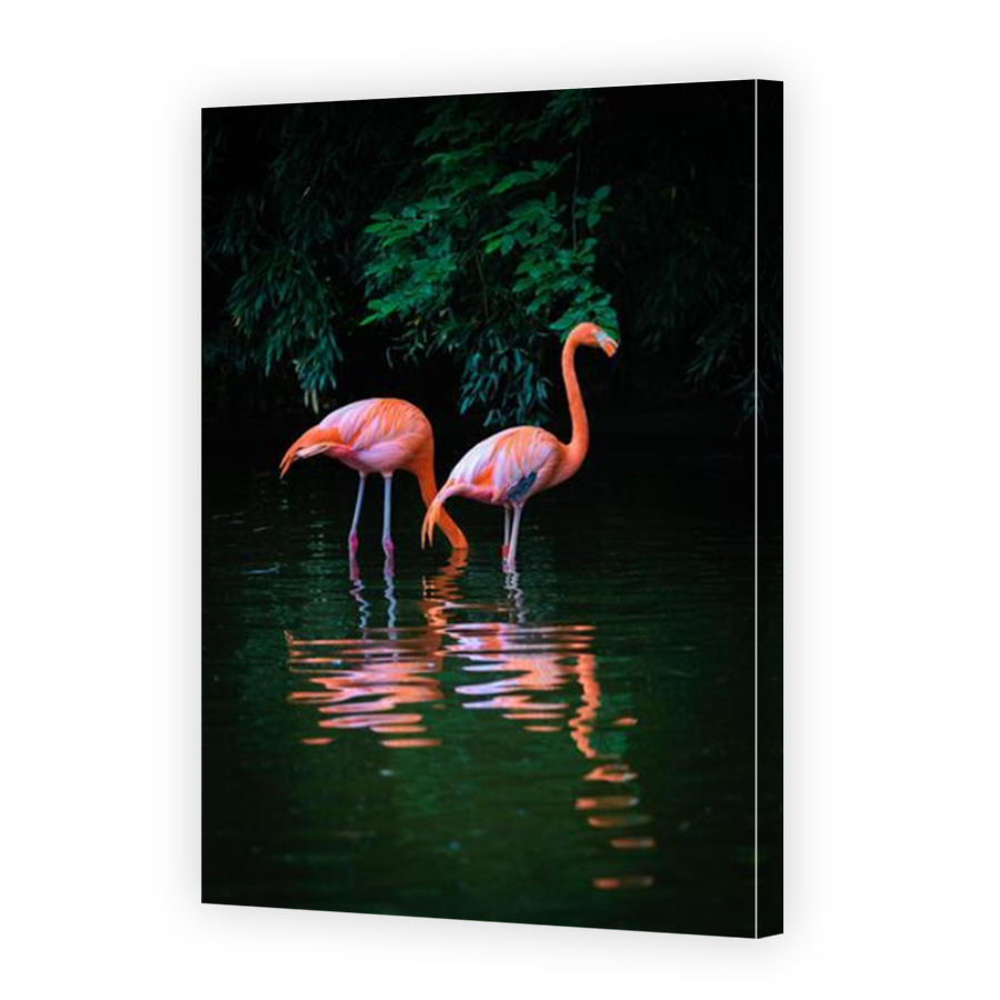 Thumbnail for Canvas - Mirror Image Canvas Wrap