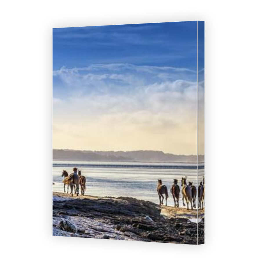 Thumbnail for Canvas - Mirror Image Canvas Wrap