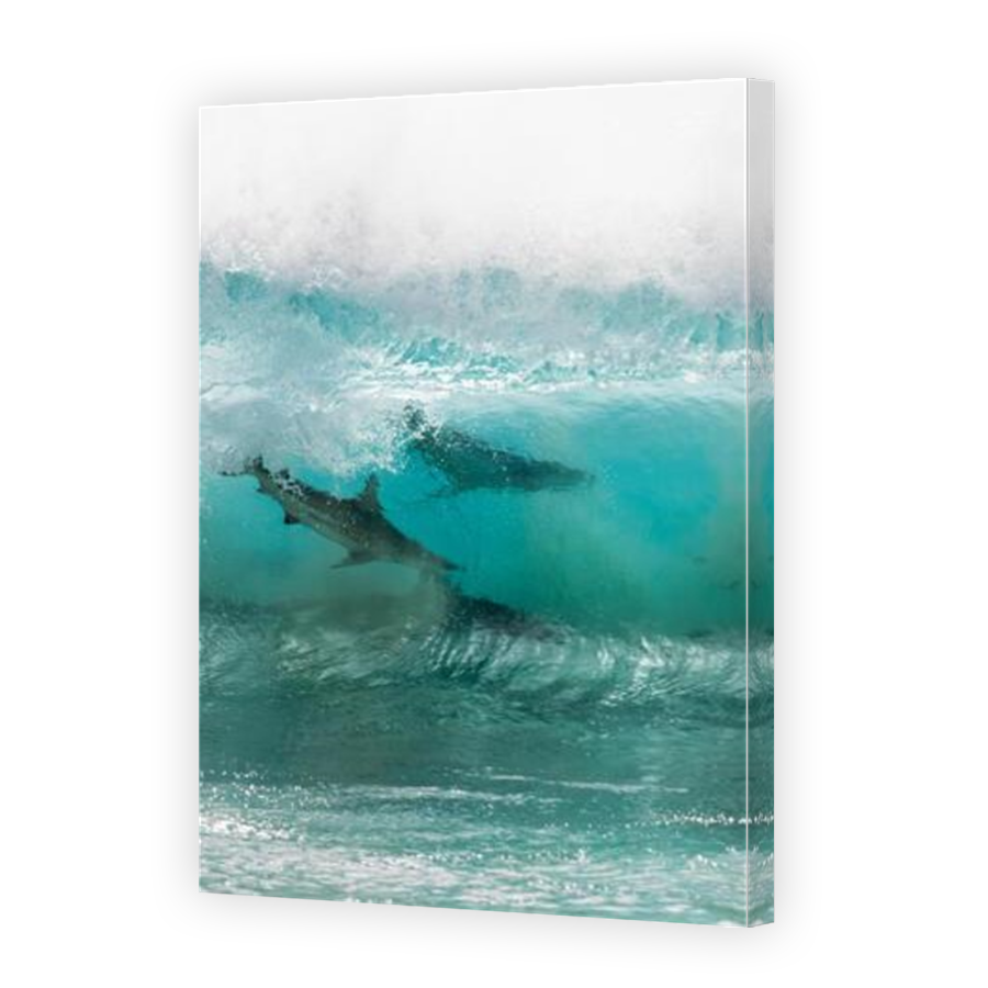Thumbnail for Canvas - Mirror Image Canvas Wrap