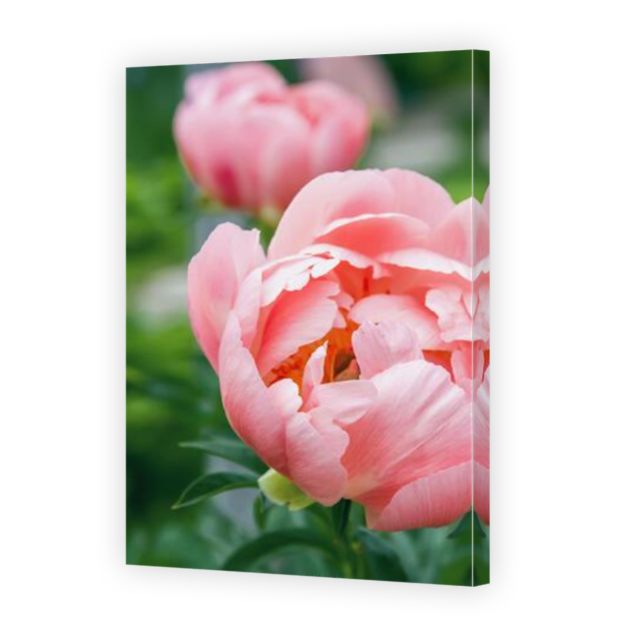 Thumbnail for Canvas - Mirror Image Canvas Wrap
