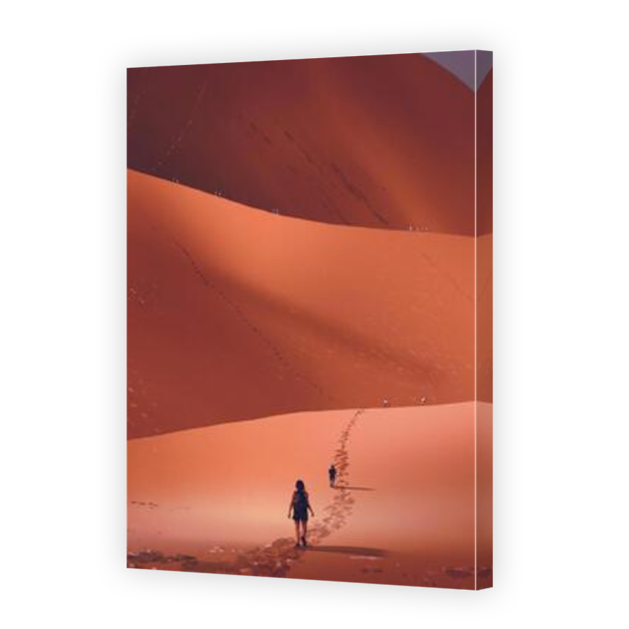Thumbnail for Canvas - Mirror Image Canvas Wrap