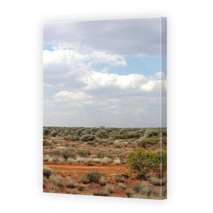 Thumbnail for Canvas - Mirror Image Canvas Wrap