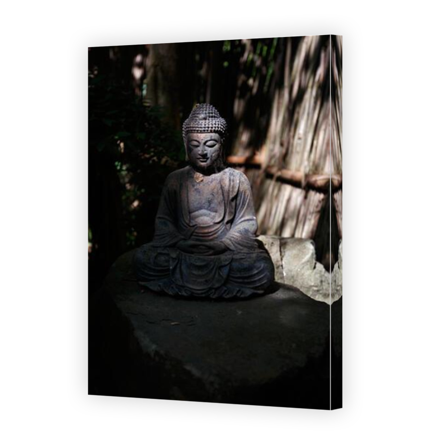 Thumbnail for Canvas - Mirror Image Canvas Wrap