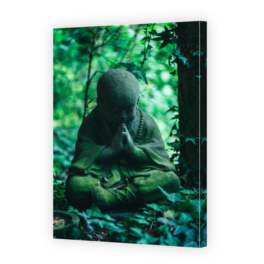Thumbnail for Canvas - Mirror Image Canvas Wrap
