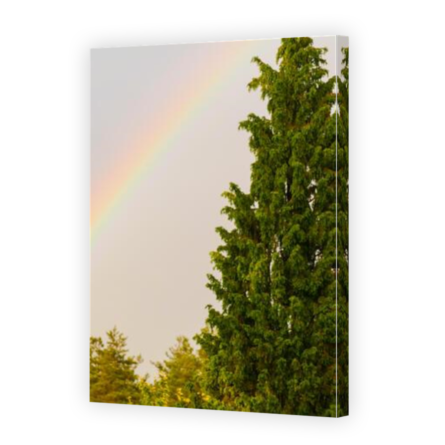 Thumbnail for Canvas - Mirror Image Canvas Wrap