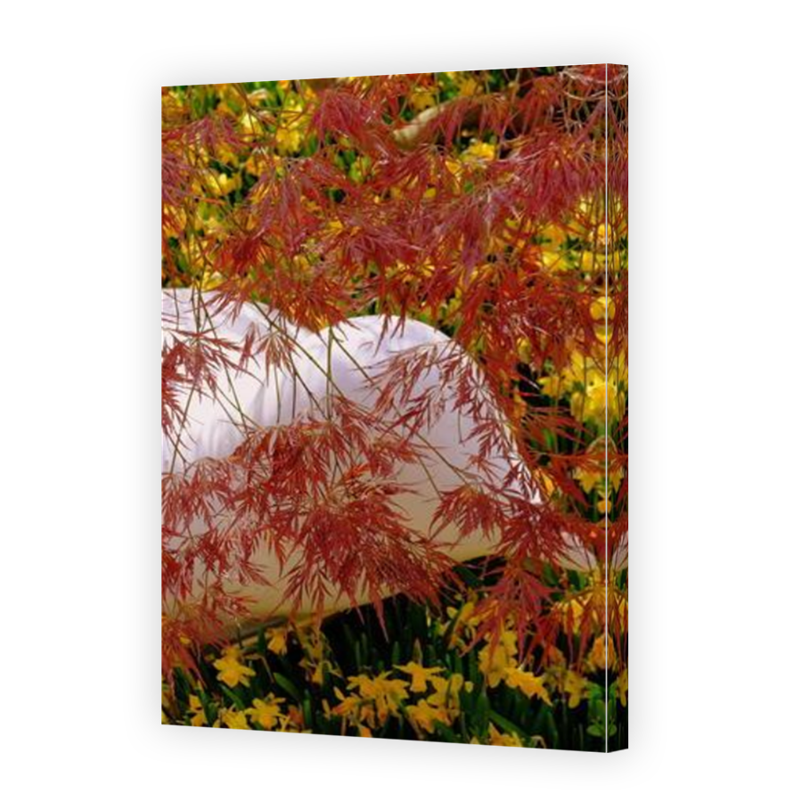 Thumbnail for Canvas - Mirror Image Canvas Wrap