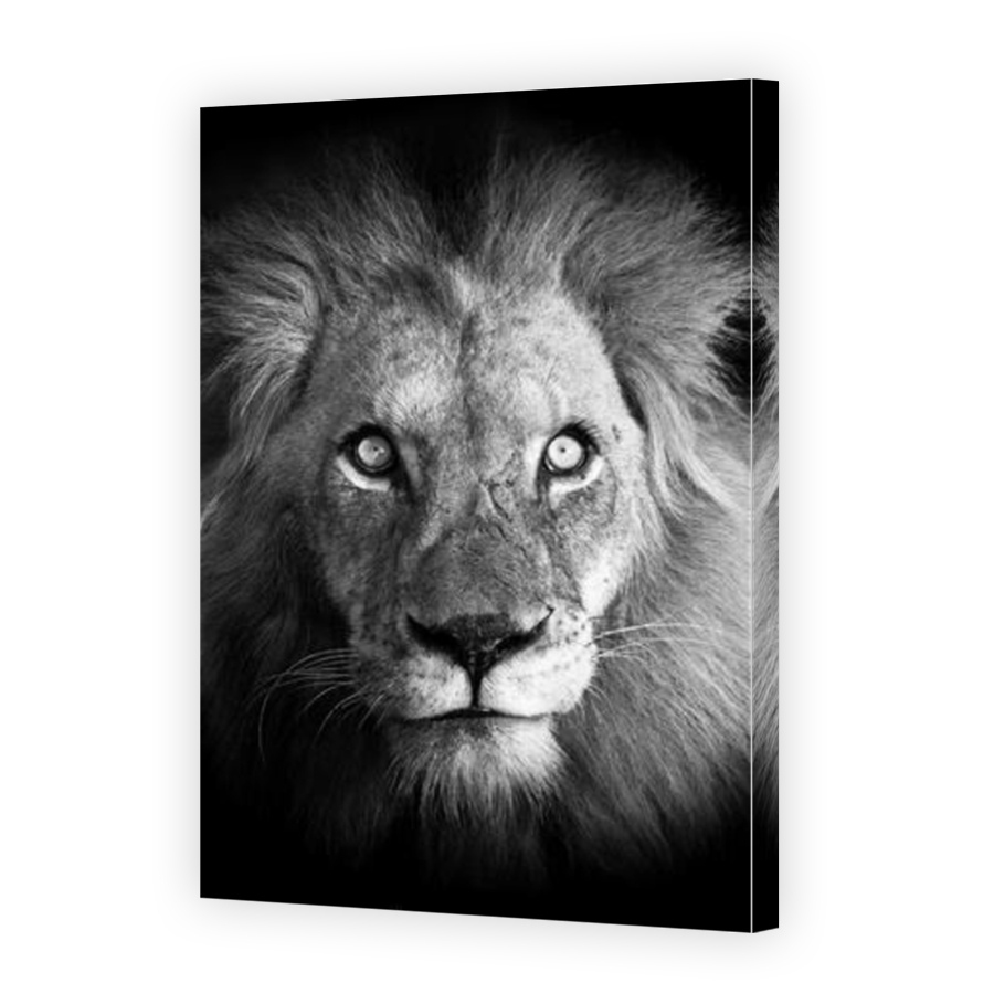 Thumbnail for Canvas - Mirror Image Canvas Wrap