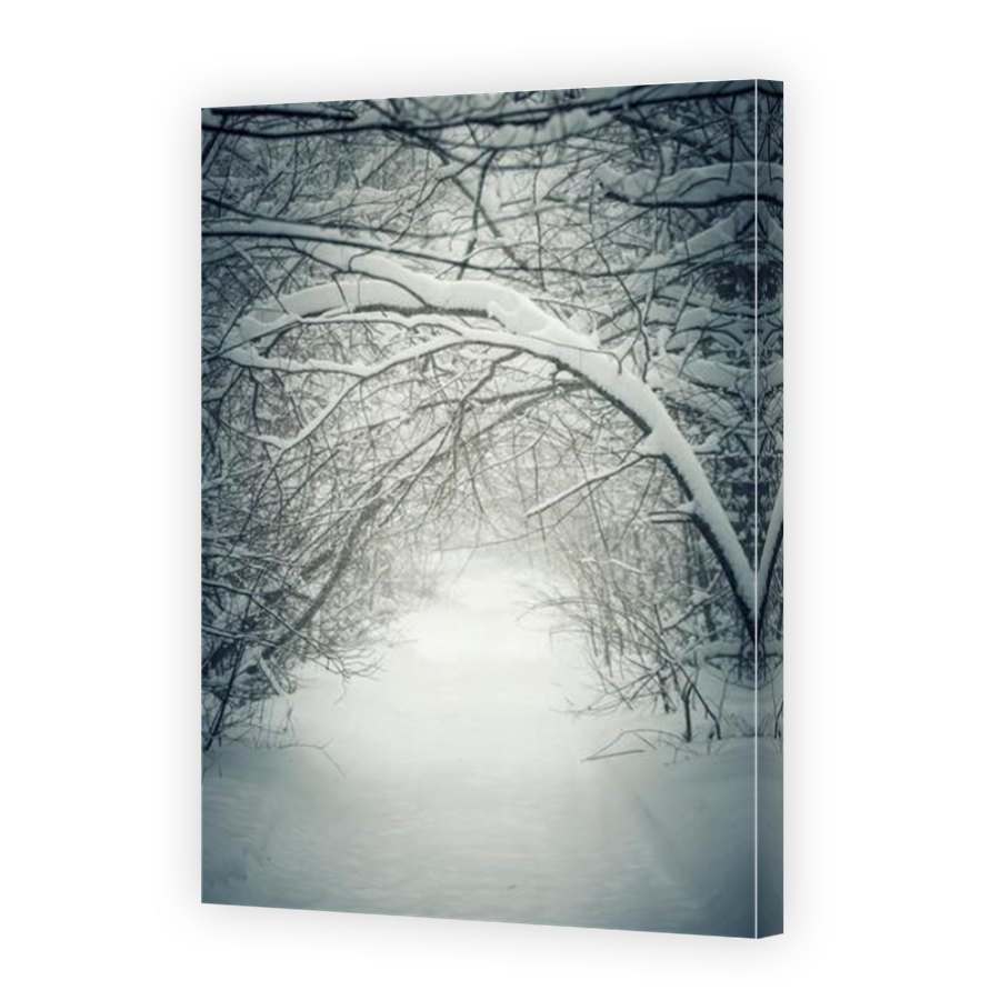 Thumbnail for Canvas - Mirror Image Canvas Wrap