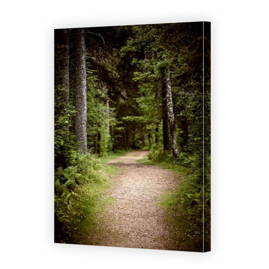 Thumbnail for Canvas - Mirror Image Canvas Wrap
