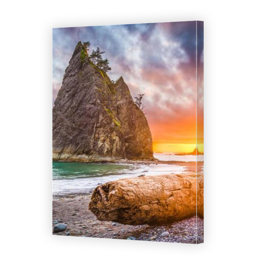 Thumbnail for Canvas - Mirror Image Canvas Wrap
