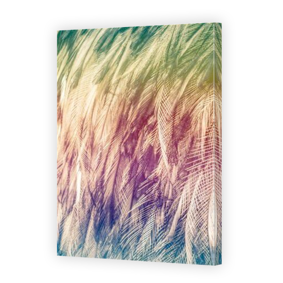 Thumbnail for Canvas - Mirror Image Canvas Wrap