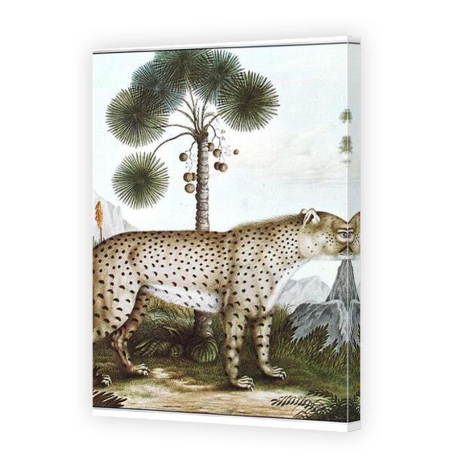 Thumbnail for Canvas - Mirror Image Canvas Wrap