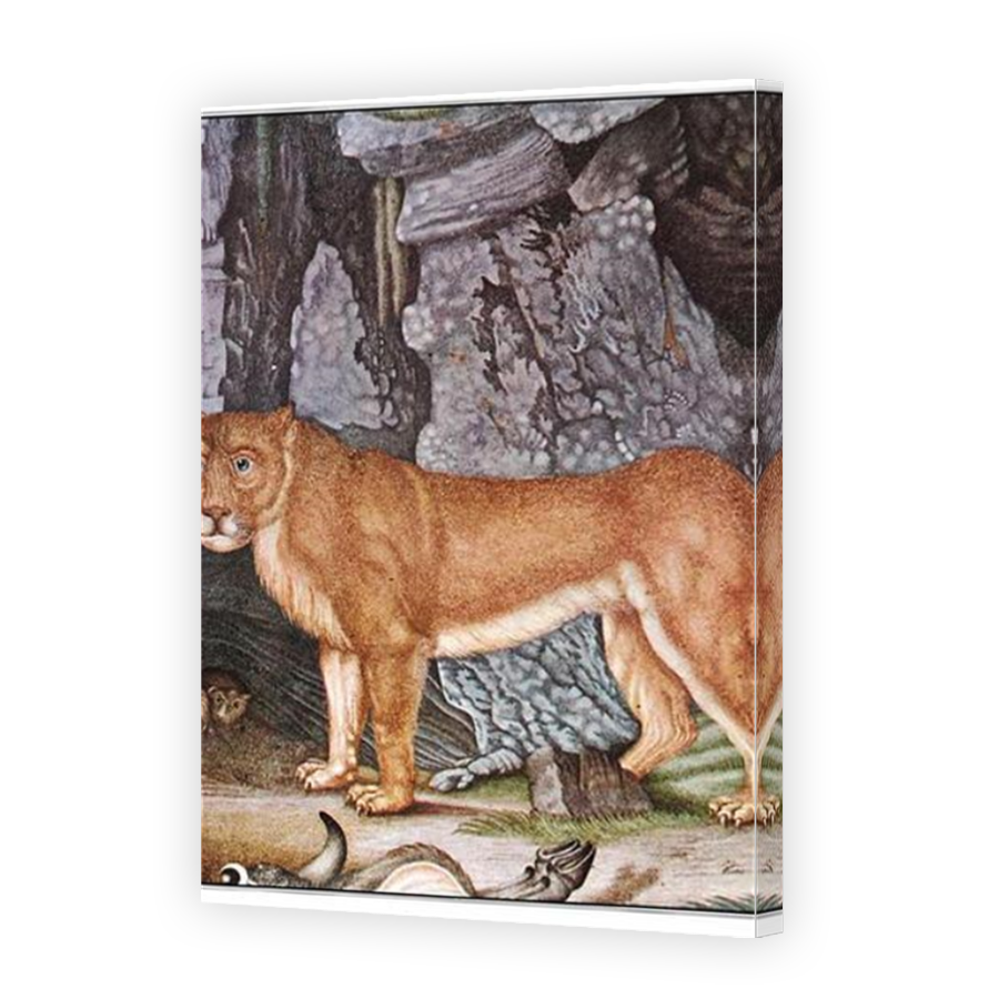 Thumbnail for Canvas - Mirror Image Canvas Wrap