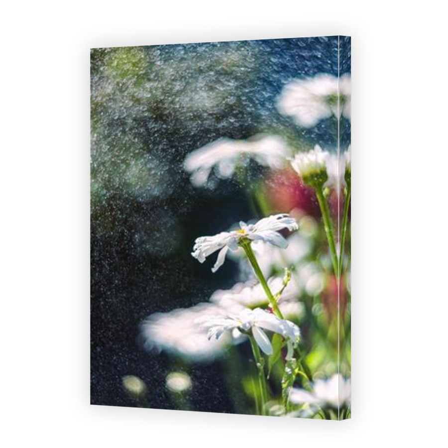 Thumbnail for Canvas - Mirror Image Canvas Wrap