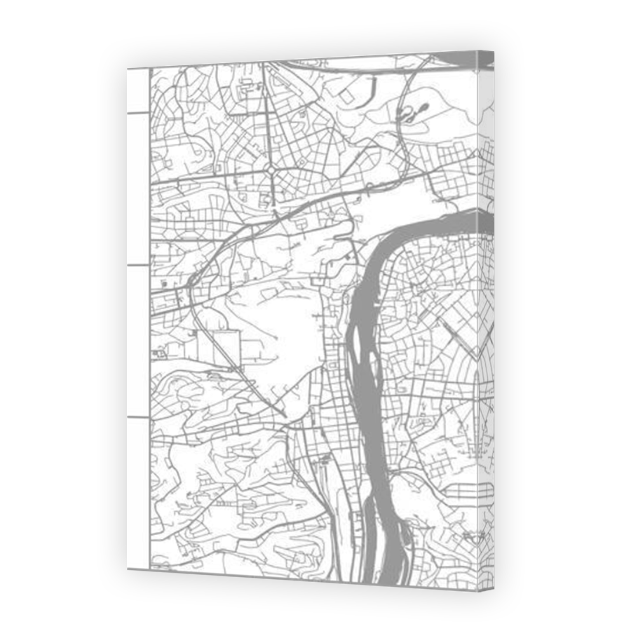 Thumbnail for Canvas - Mirror Image Canvas Wrap