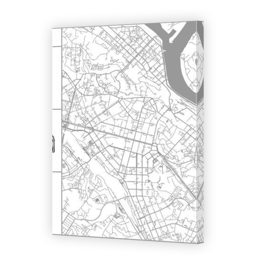 Thumbnail for Canvas - Mirror Image Canvas Wrap