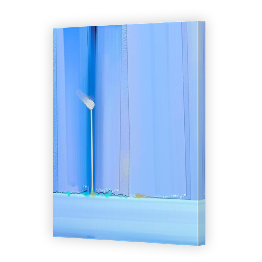 Thumbnail for Canvas - Mirror Image Canvas Wrap