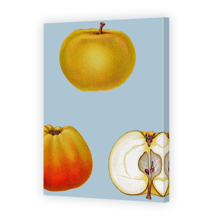Thumbnail for Canvas - Mirror Image Canvas Wrap