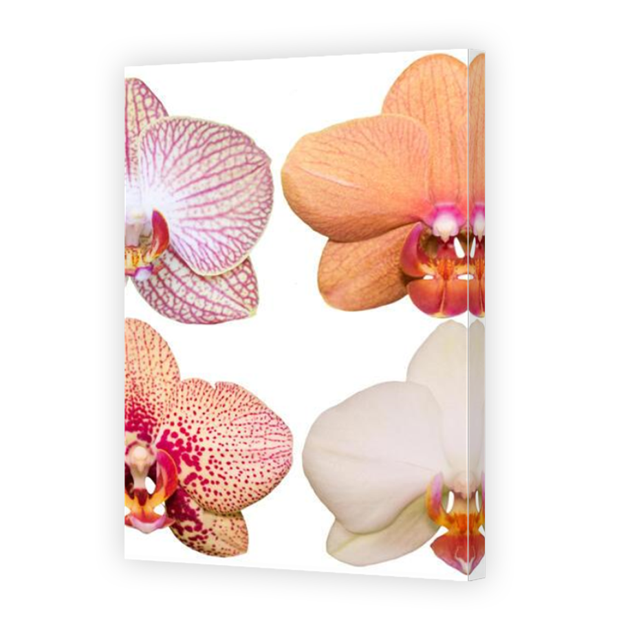 Thumbnail for Canvas - Mirror Image Canvas Wrap