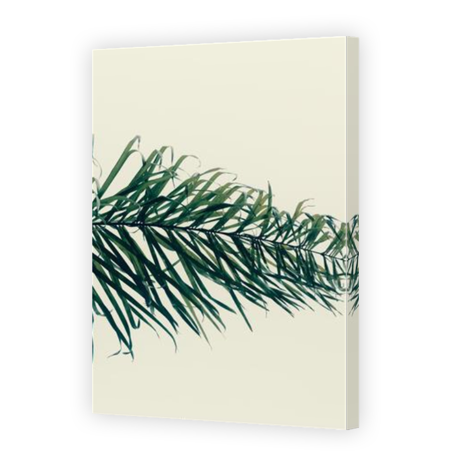 Thumbnail for Canvas - Mirror Image Canvas Wrap