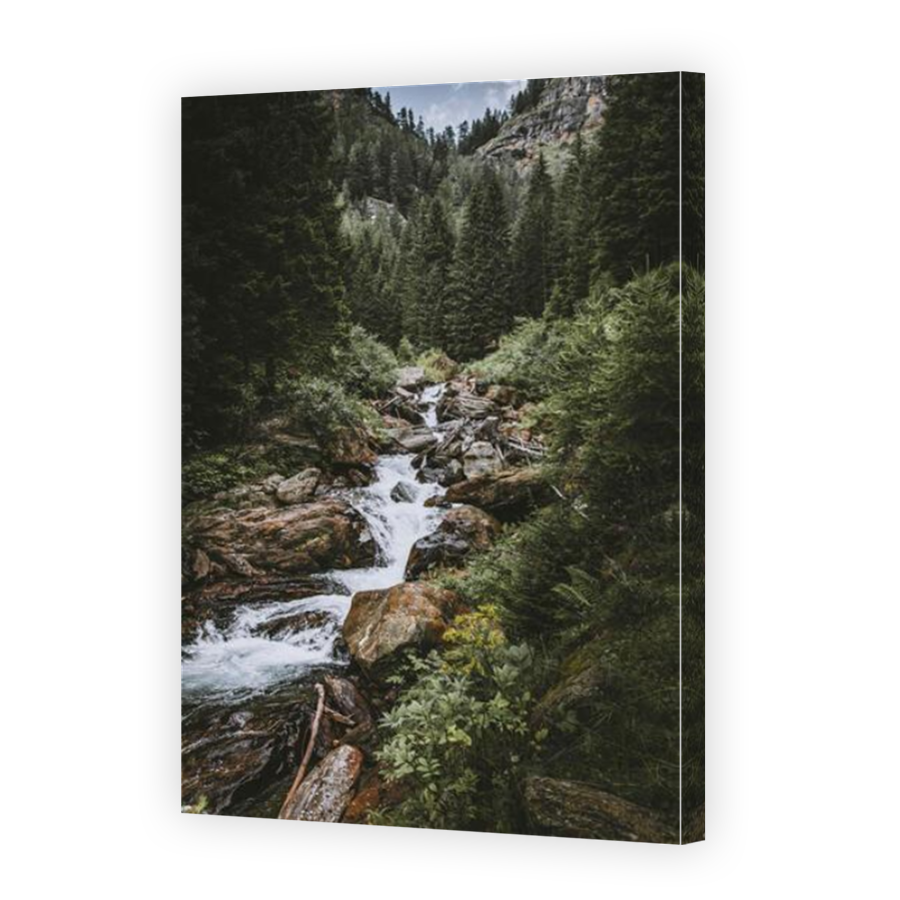 Thumbnail for Canvas - Mirror Image Canvas Wrap