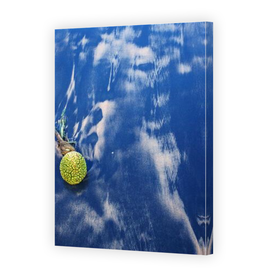 Thumbnail for Canvas - Mirror Image Canvas Wrap