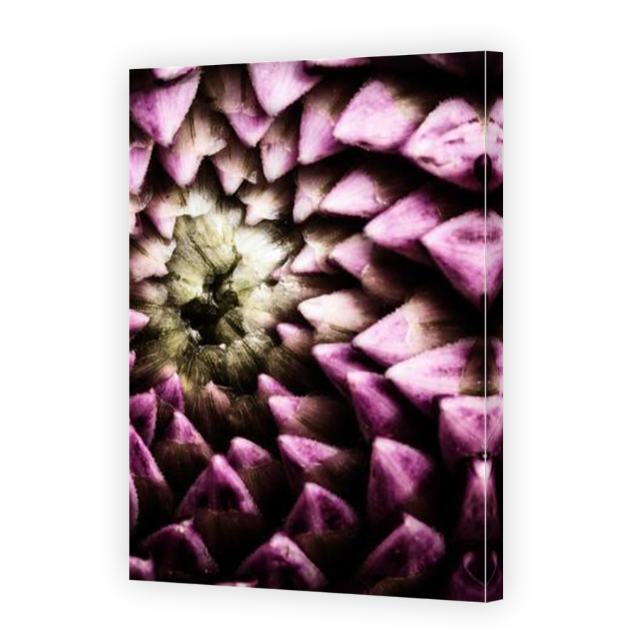 Thumbnail for Canvas - Mirror Image Canvas Wrap