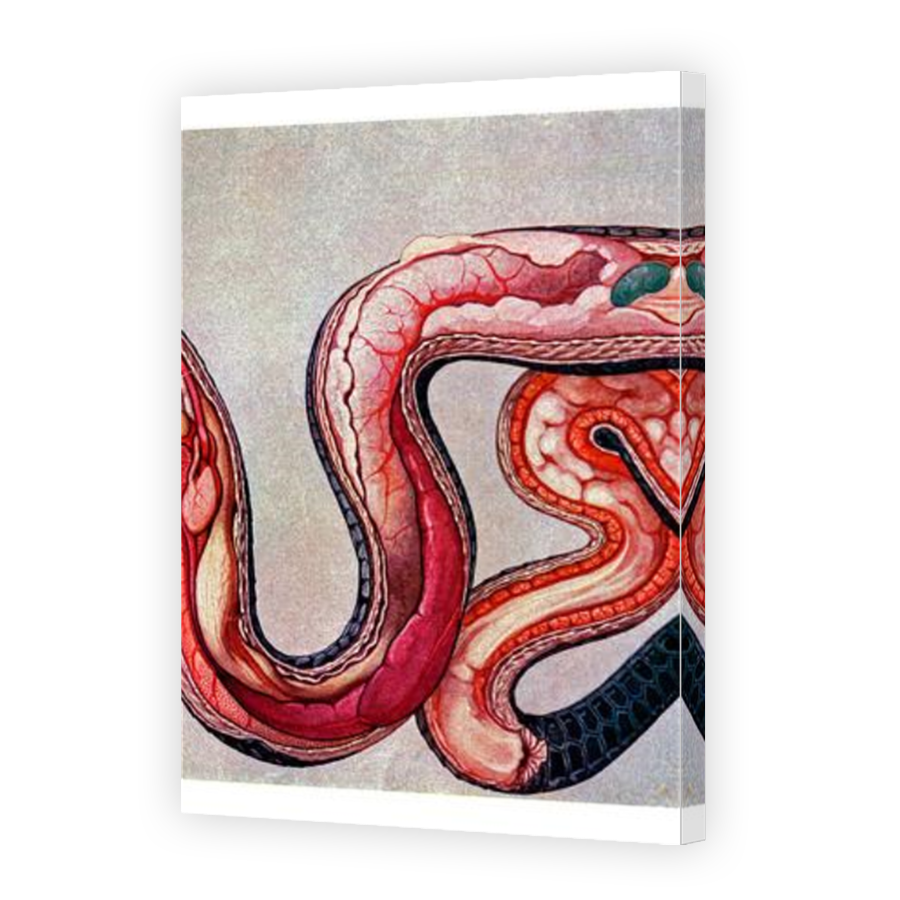 Thumbnail for Canvas - Mirror Image Canvas Wrap