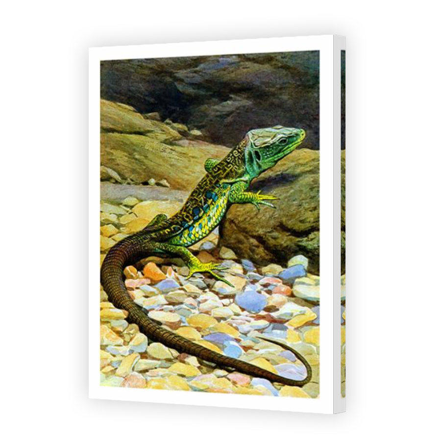 Thumbnail for Canvas - Mirror Image Canvas Wrap