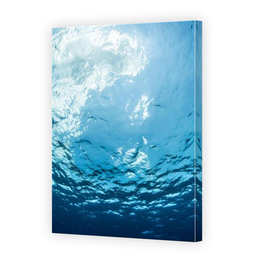 Thumbnail for Canvas - Mirror Image Canvas Wrap
