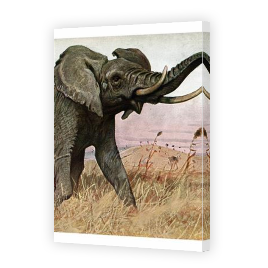 Thumbnail for Canvas - Mirror Image Canvas Wrap