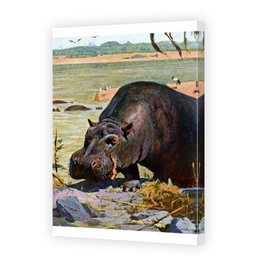 Thumbnail for Canvas - Mirror Image Canvas Wrap