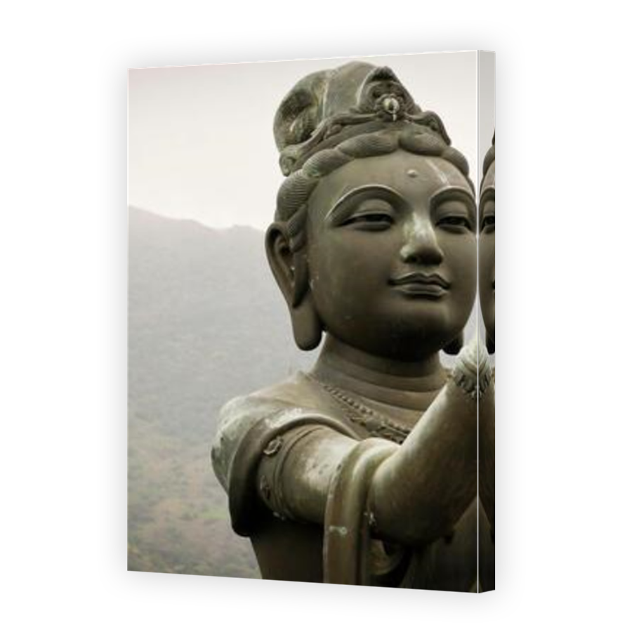 Thumbnail for Canvas - Mirror Image Canvas Wrap