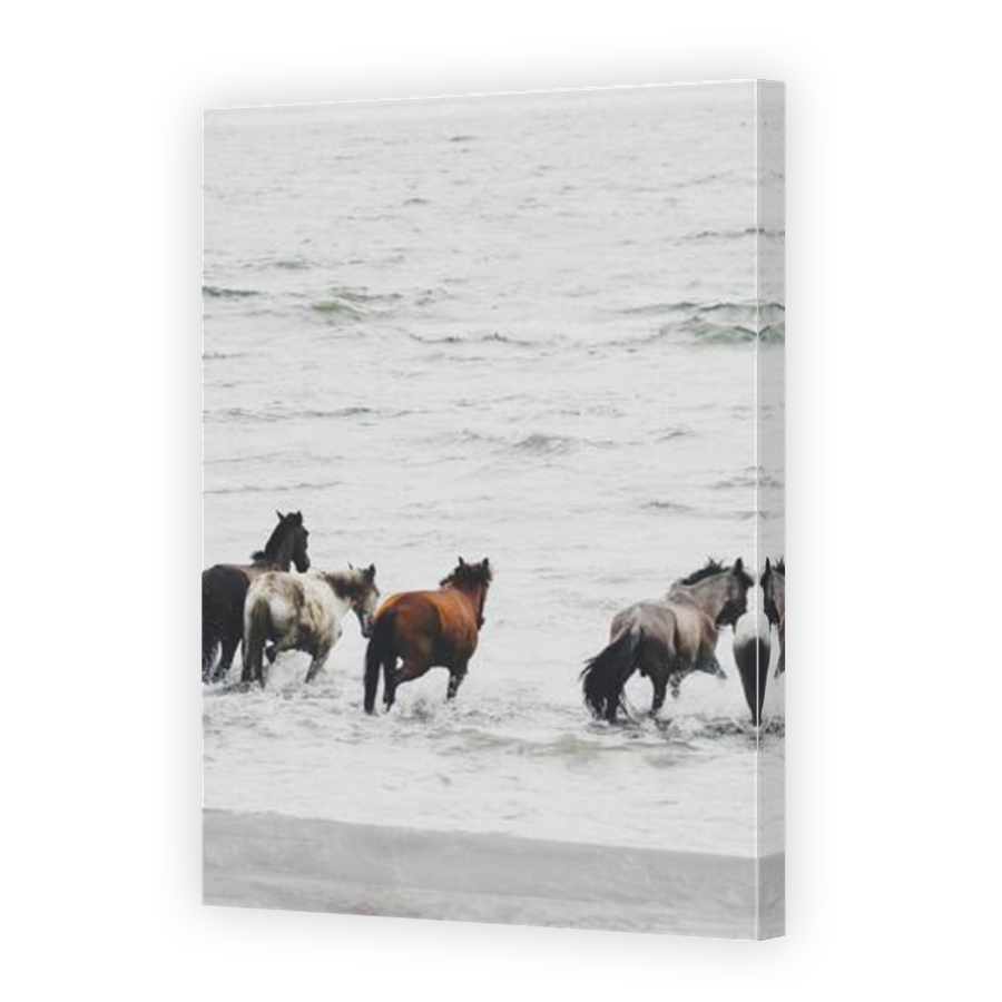 Thumbnail for Canvas - Mirror Image Canvas Wrap