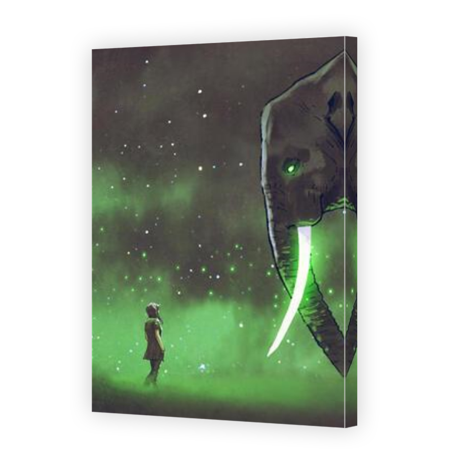 Thumbnail for Canvas - Mirror Image Canvas Wrap