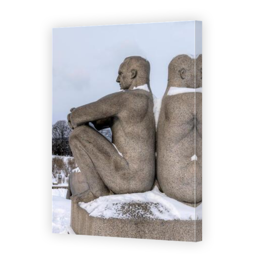 Thumbnail for Canvas - Mirror Image Canvas Wrap