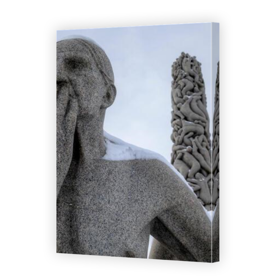 Thumbnail for Canvas - Mirror Image Canvas Wrap
