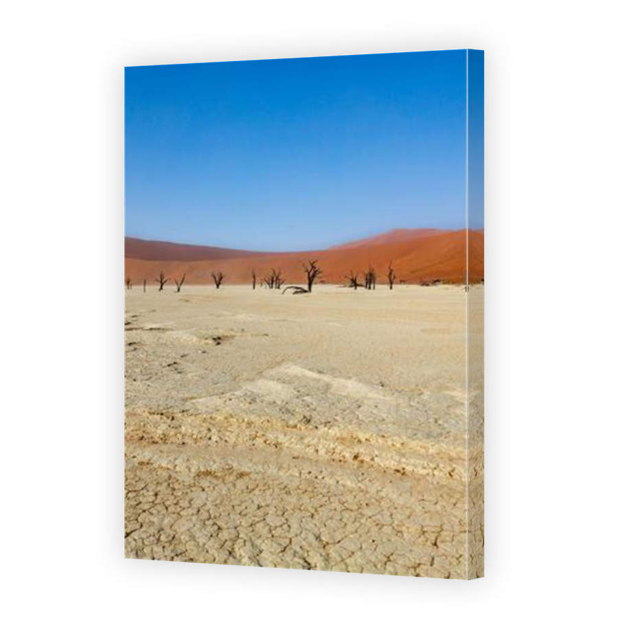 Thumbnail for Canvas - Mirror Image Canvas Wrap