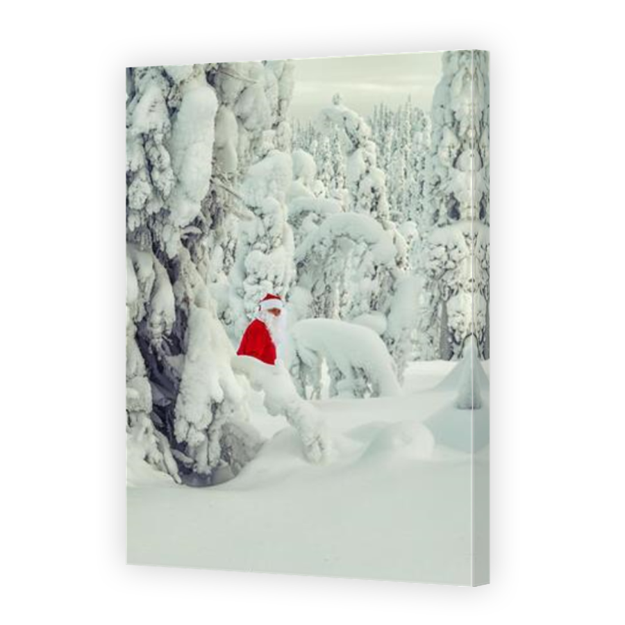Thumbnail for Canvas - Mirror Image Canvas Wrap