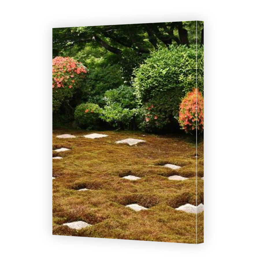 Thumbnail for Canvas - Mirror Image Canvas Wrap