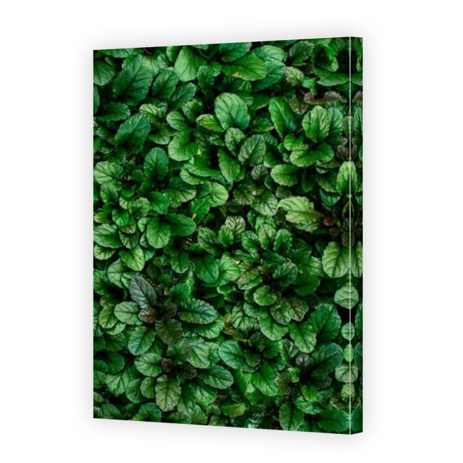 Thumbnail for Canvas - Mirror Image Canvas Wrap