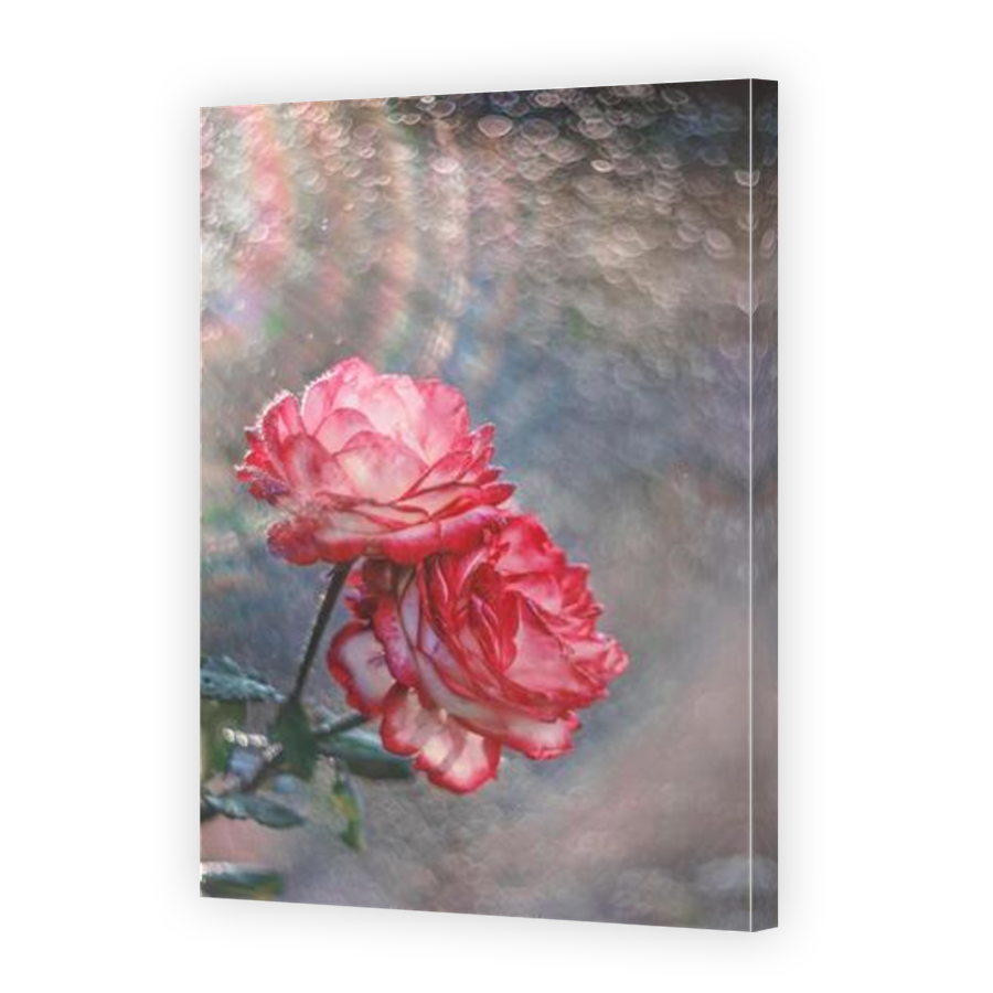 Thumbnail for Canvas - Mirror Image Canvas Wrap